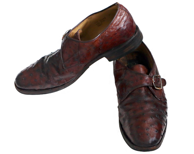 Ostrich Men's Shoe in Stylish Design